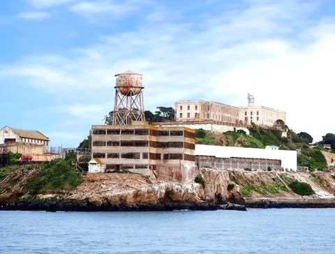 Séquoias de Muir Woods National Monument pendant l'excursion d'une journée avec Alcatraz